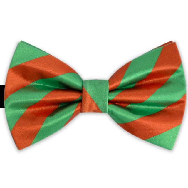 Papion bicolor, dungi oblice, verde menta - portocaliu corai